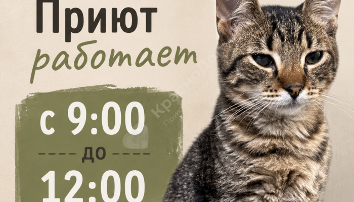 Изменение в режиме работы!